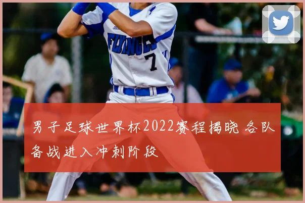 男子足球世界杯2022赛程揭晓 各队备战进入冲刺阶段