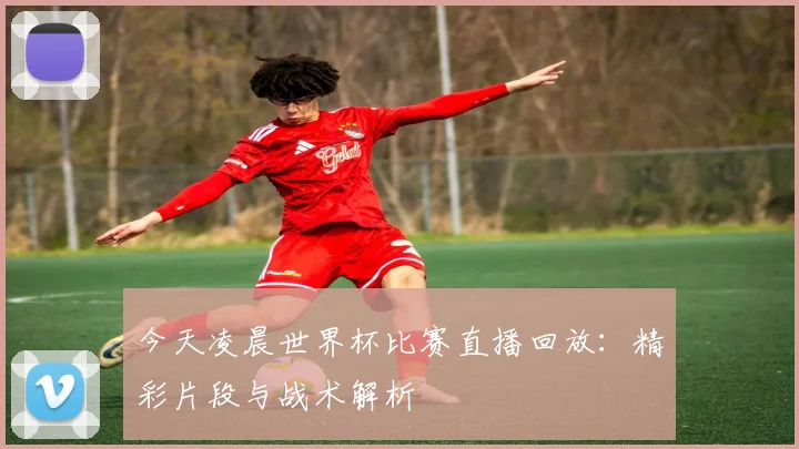 今天凌晨世界杯比赛直播回放：精彩片段与战术解析
