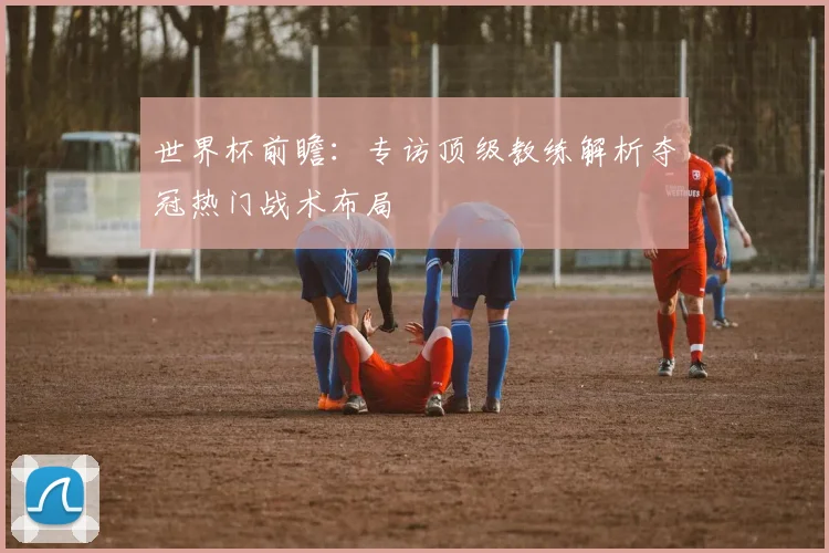 世界杯前瞻：专访顶级教练解析夺冠热门战术布局