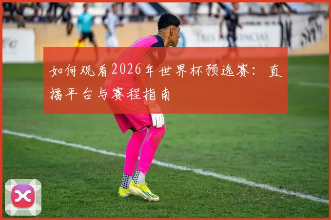 如何观看2026年世界杯预选赛：直播平台与赛程指南