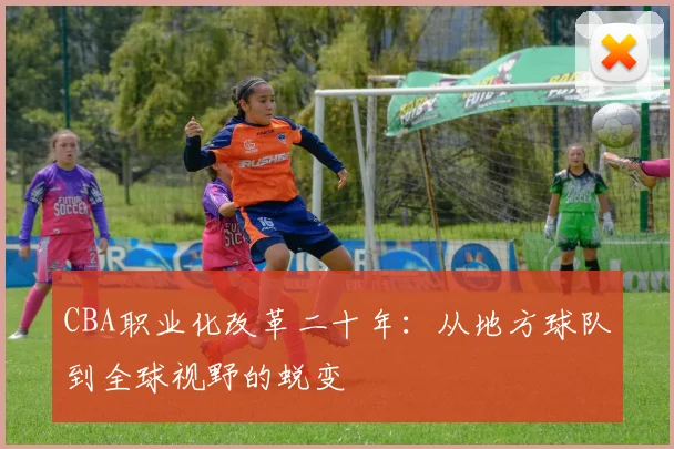 CBA职业化改革二十年:从地方球队到全球视野的蜕变